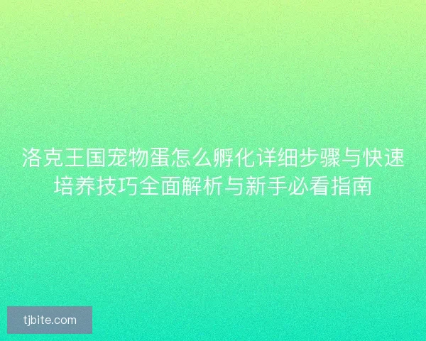 洛克王国宠物蛋怎么孵化详细步骤与快速培养技巧全面解析与新手必看指南