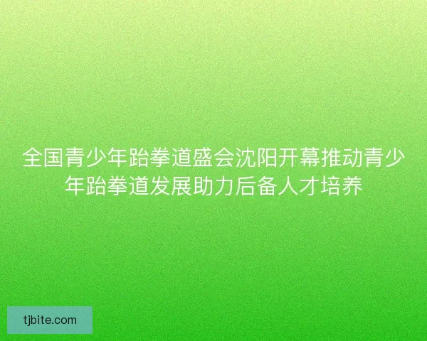 全国青少年跆拳道盛会沈阳开幕推动青少年跆拳道发展助力后备人才培养
